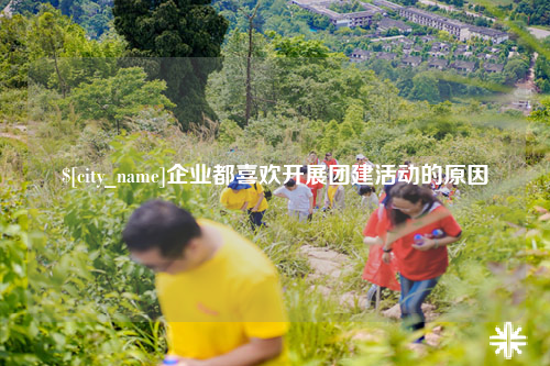 红河企业都喜欢开展团建活动的原因